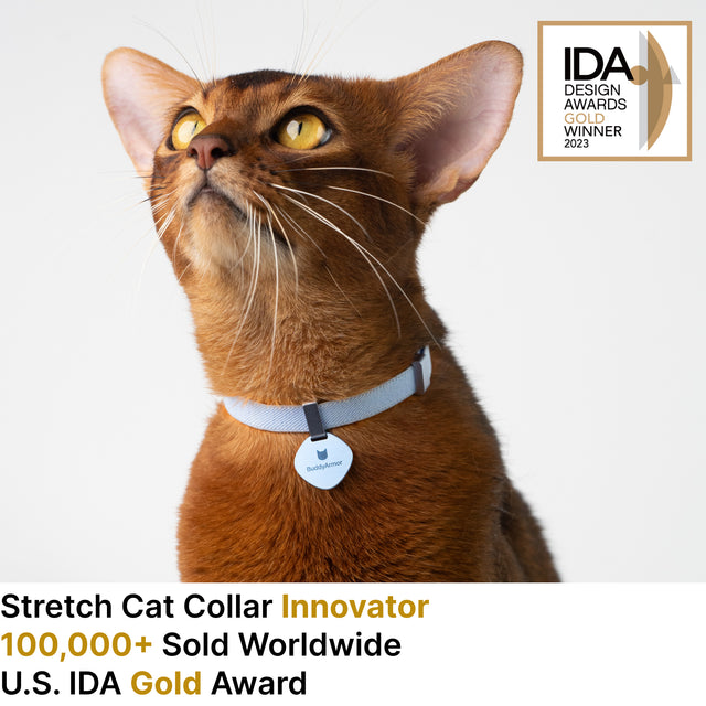 Safety Cat Collar Pro + ID Tag