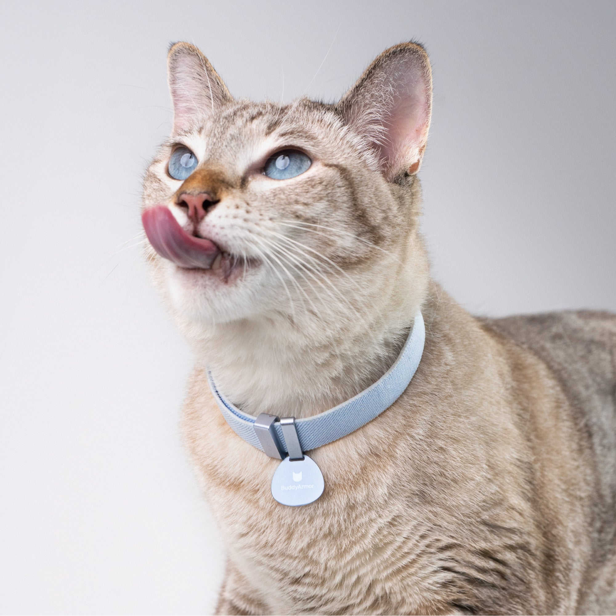 Safety Cat Collar Pro + ID Tag