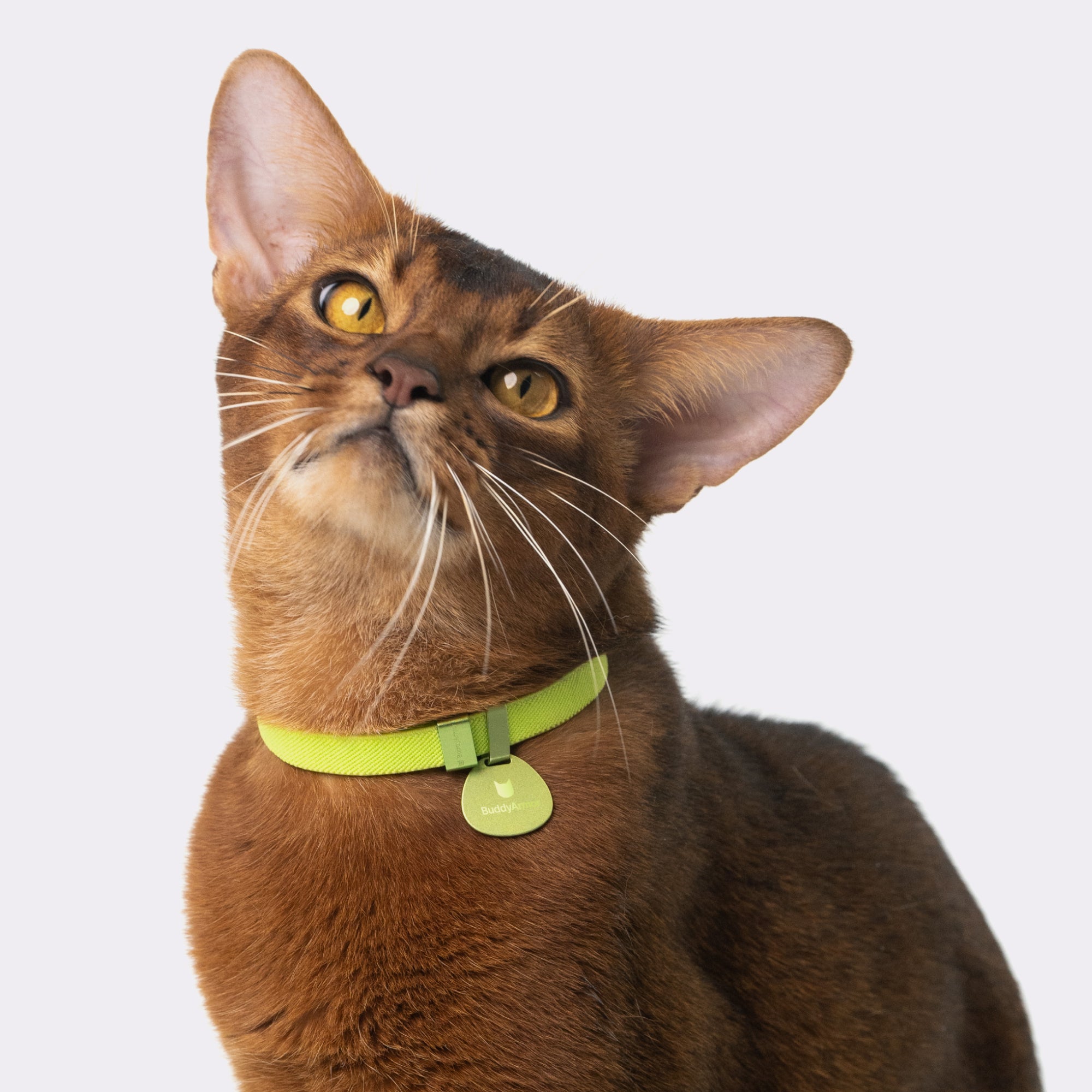 Safety Cat Collar Pro + ID Tag