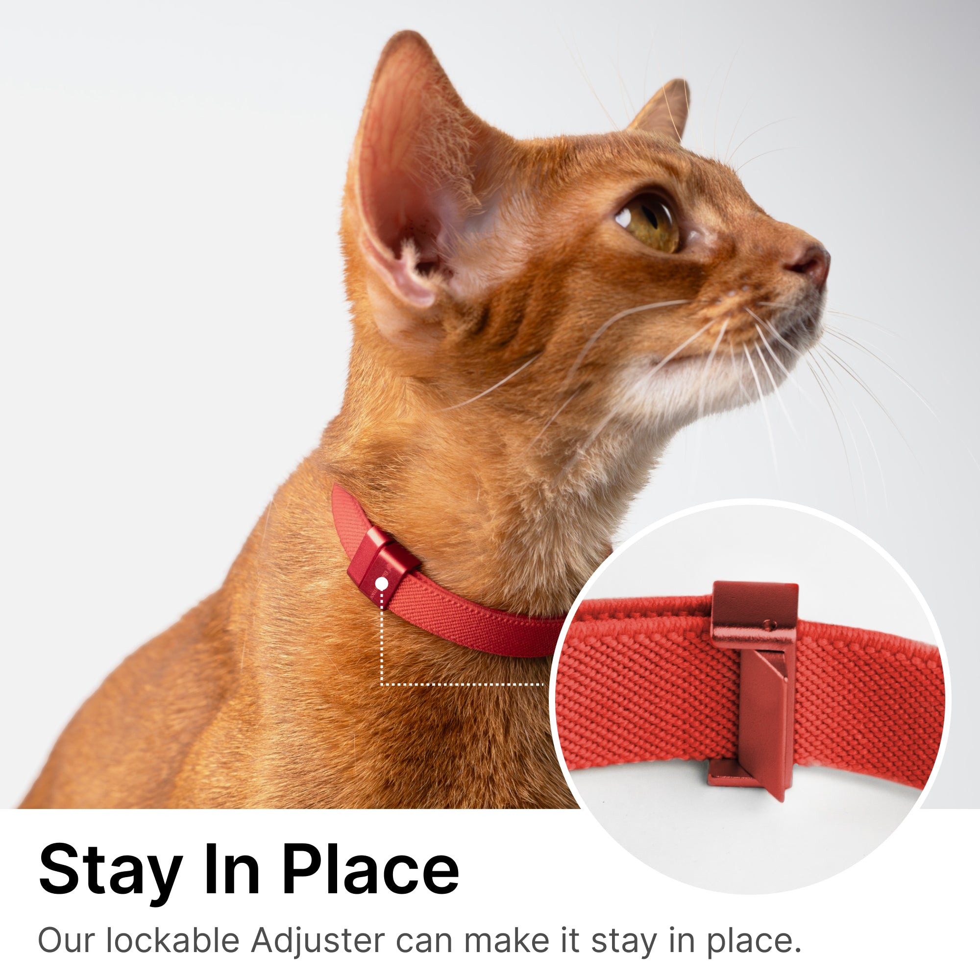 Safety Cat Collar Pro