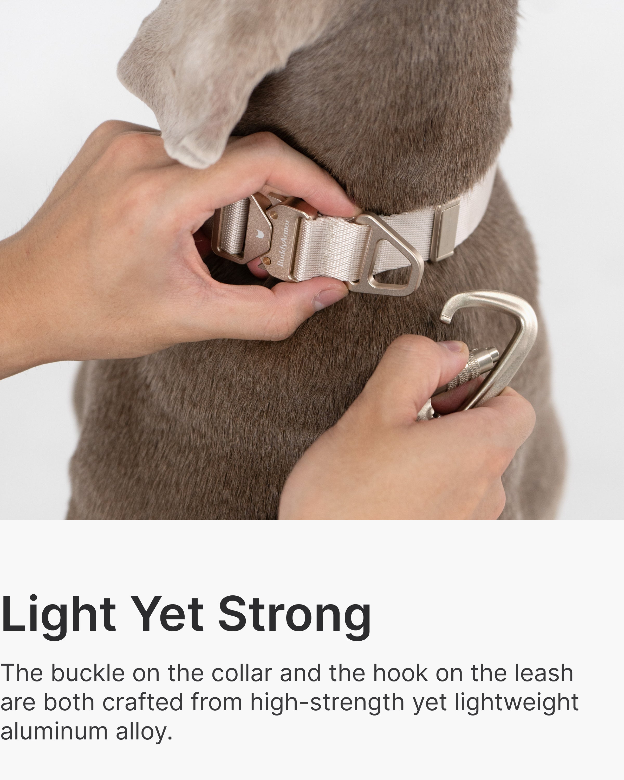 Light Alloy Collar Pro + Light Alloy Leash