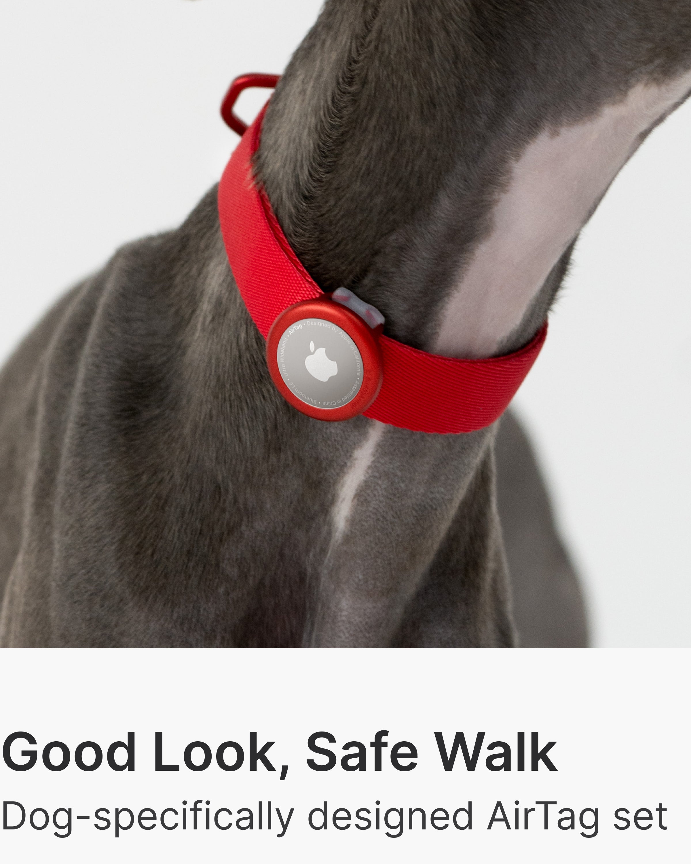 Light Alloy Collar Pro + Airtag Holder