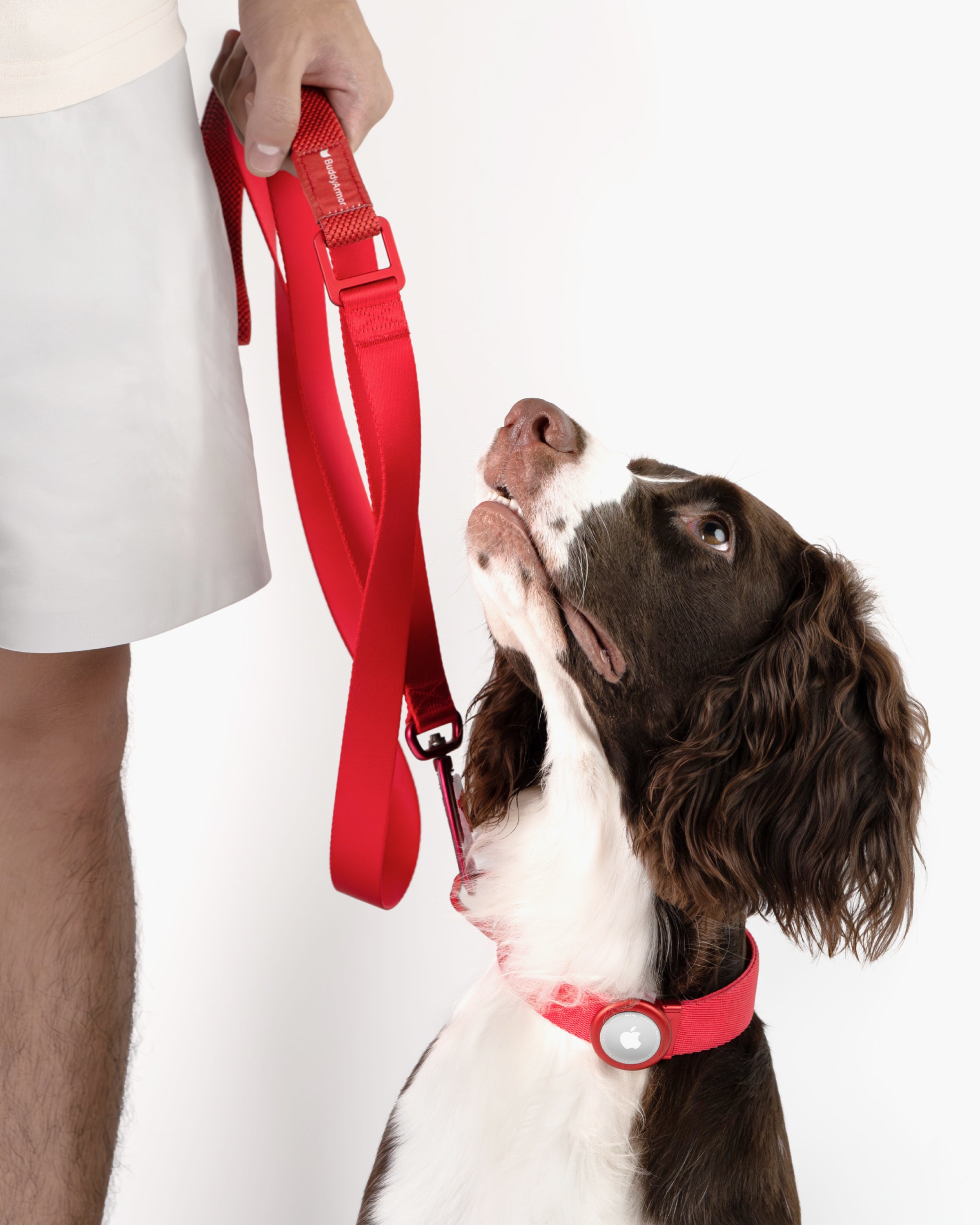 Light Alloy Collar Pro + Light Alloy Leash