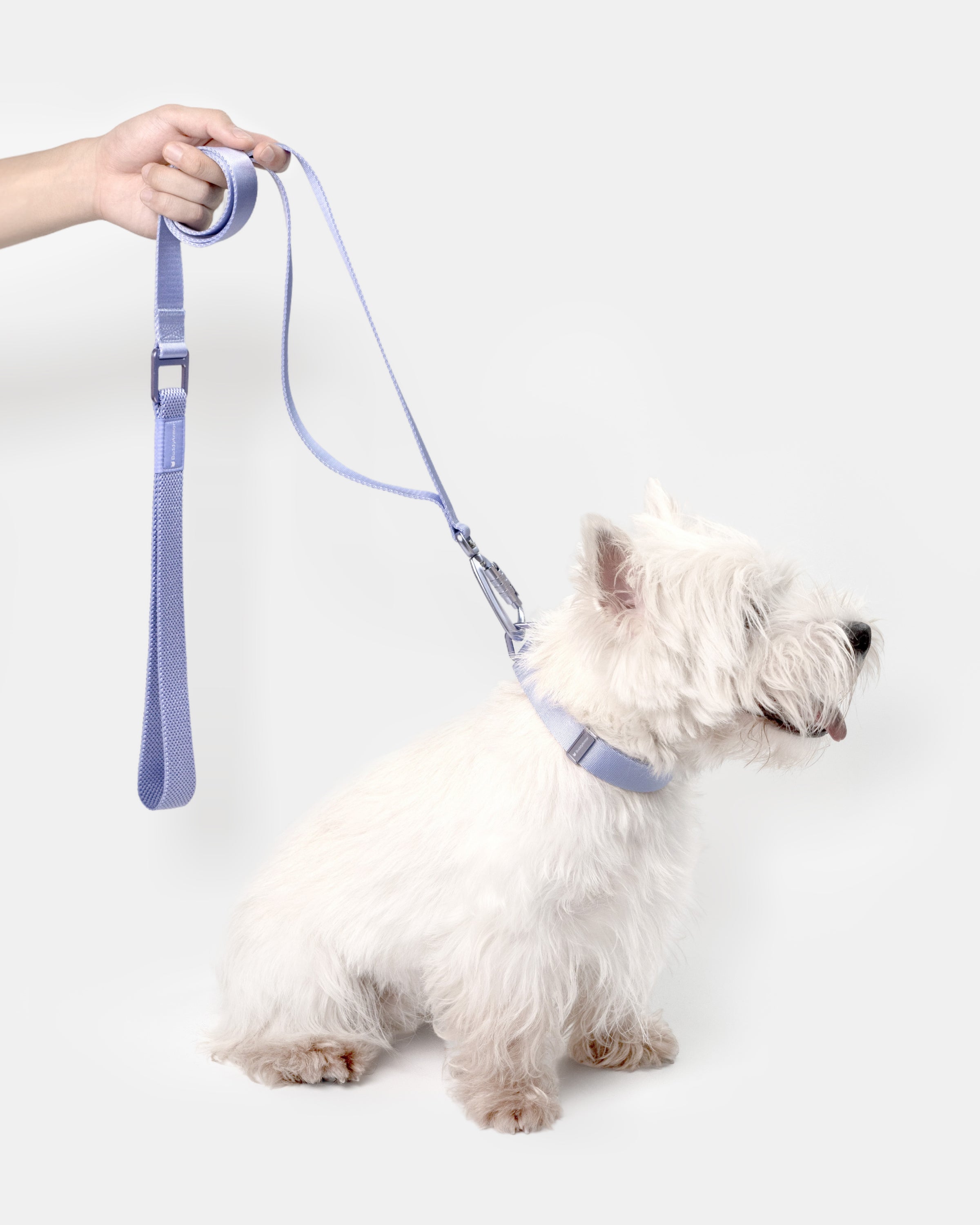 Light Alloy Leash