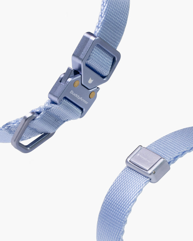 Light Alloy Collar Pro + Light Alloy Leash