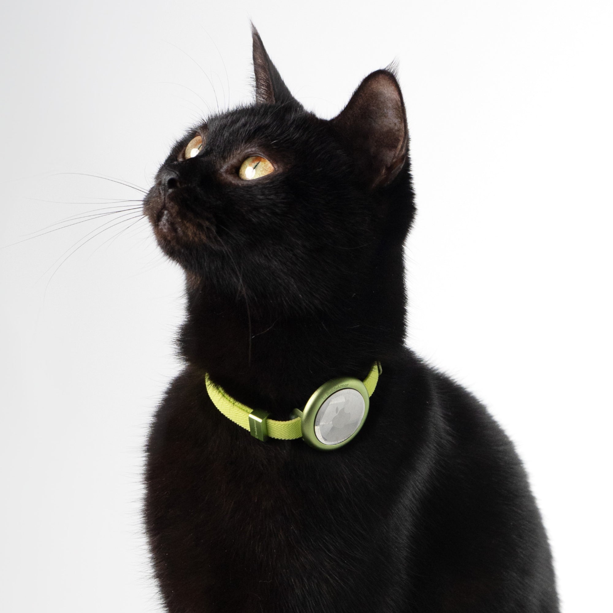 Safety Cat Collar Pro