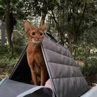 Tent Pet Carrier