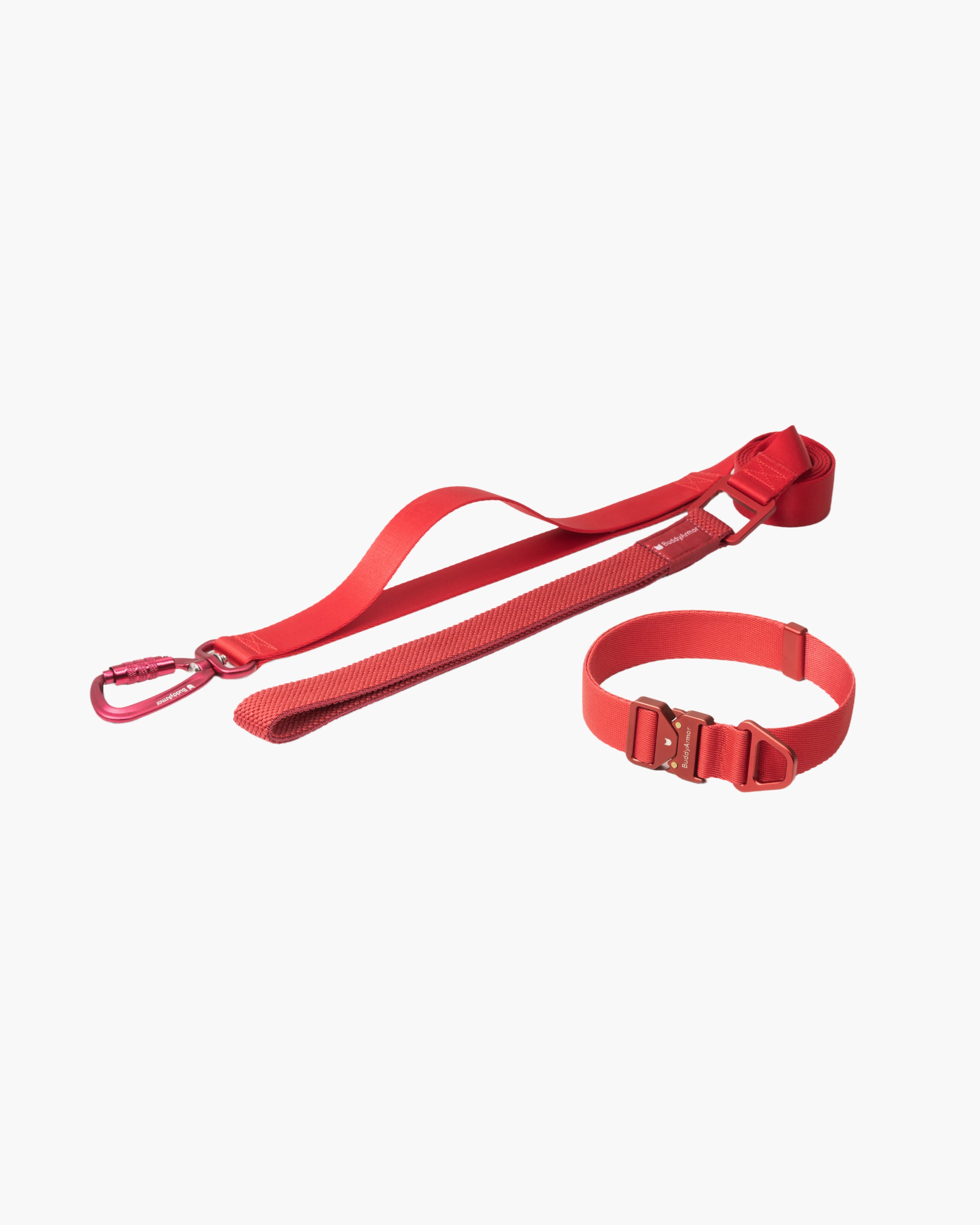 Light Alloy Collar Pro + Light Alloy Leash