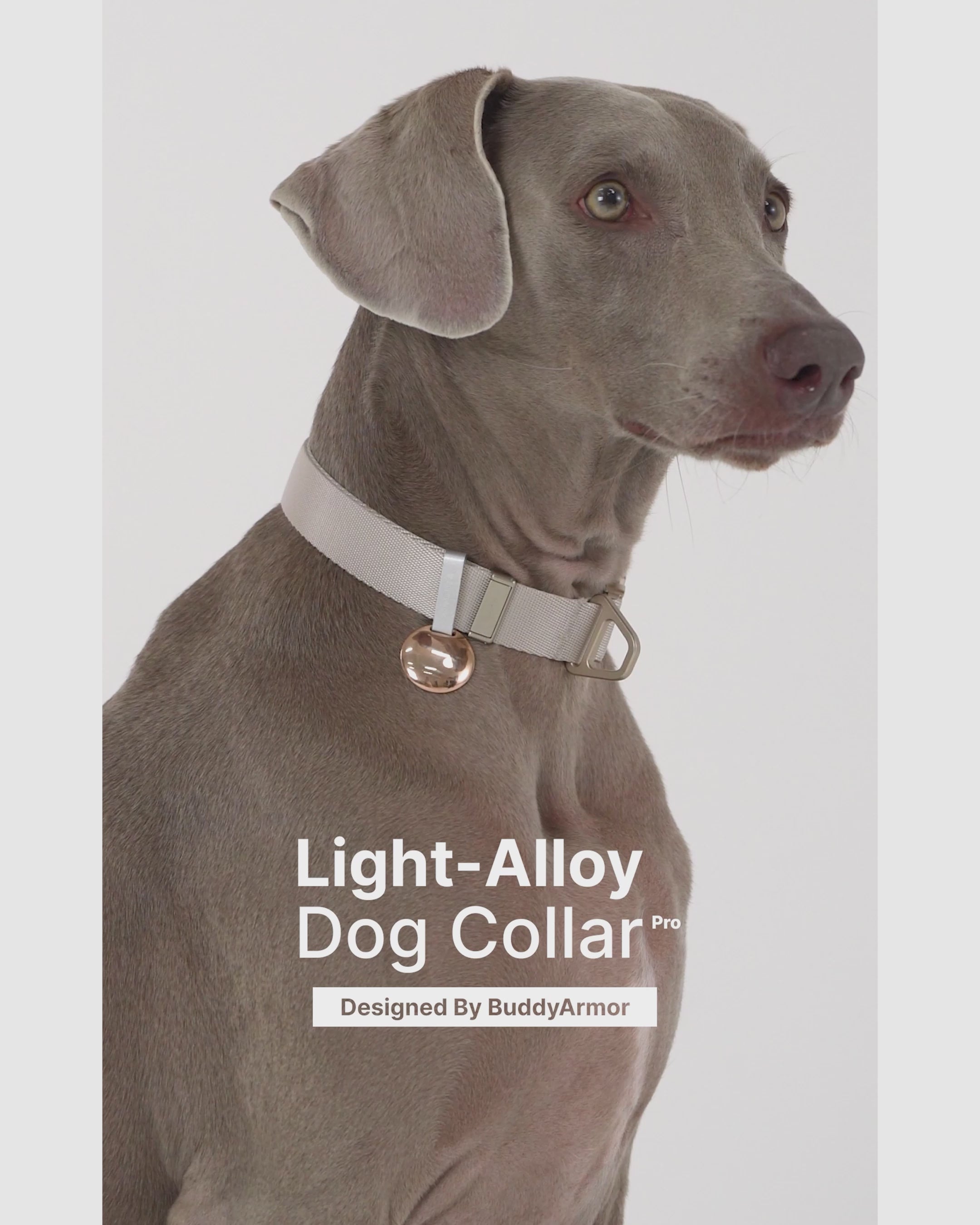 Light Alloy Collar Pro + Airtag Holder