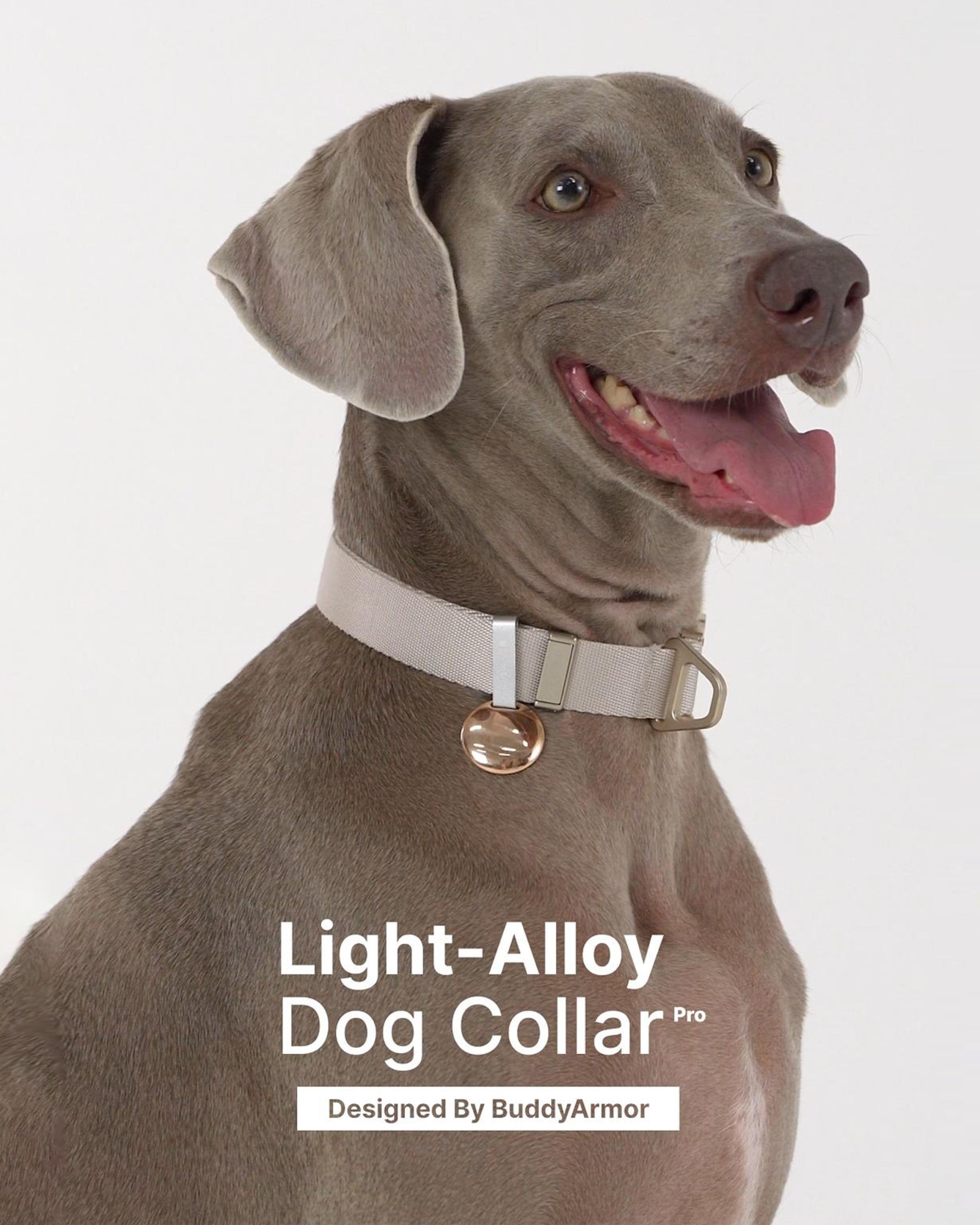 Light Alloy Collar Pro + Light Alloy Leash